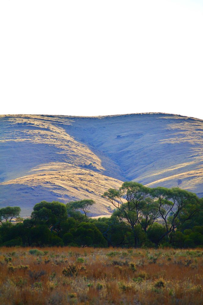 when the land speaks.