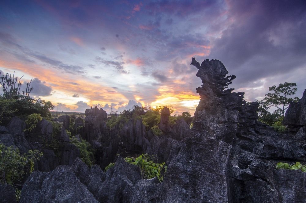 stone crocodile mouth