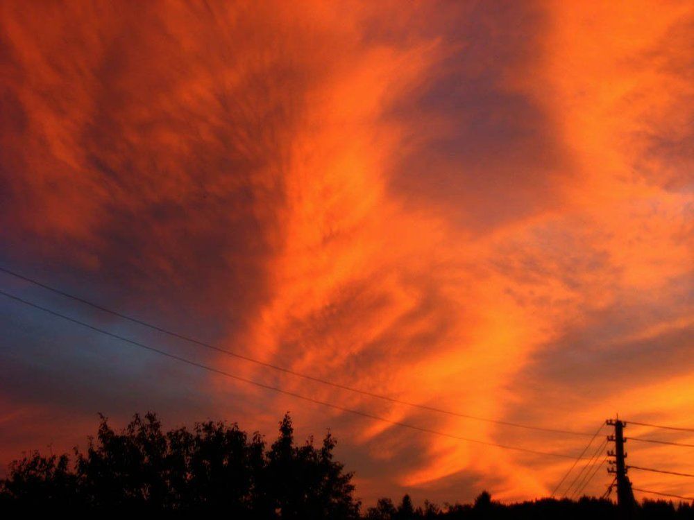 Птица феникс