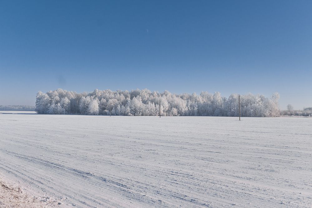 Photograph by Артём