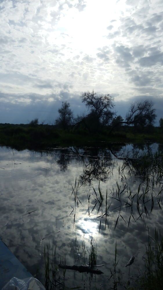 Photo #2303223