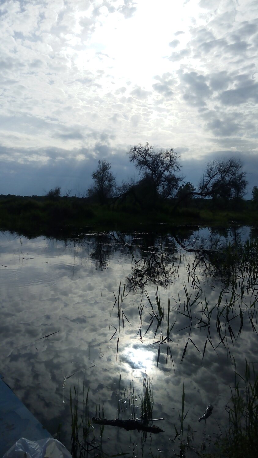 Photo #2303223