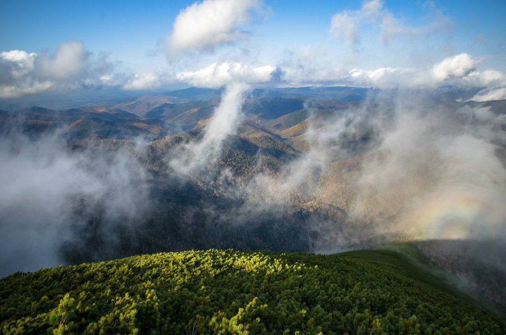 Игры туманов