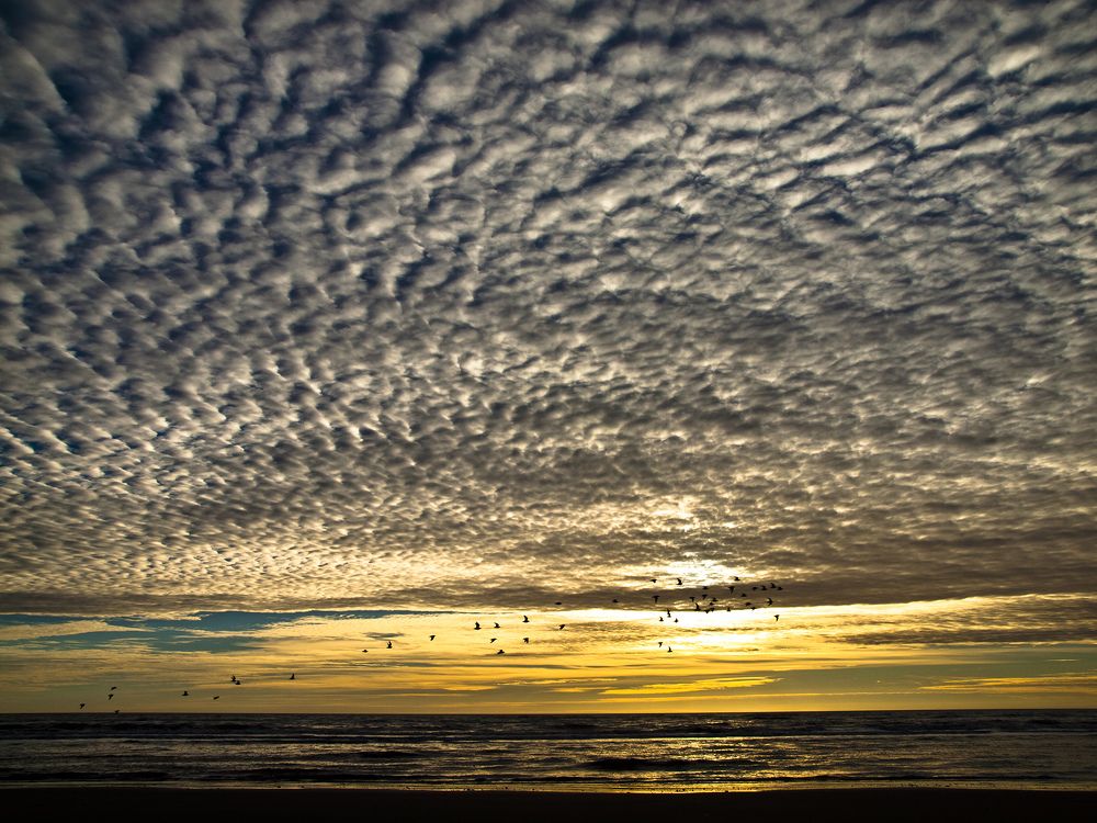 Под куполом