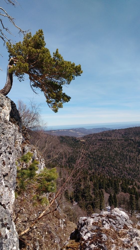 Photograph by Мишина Надежда