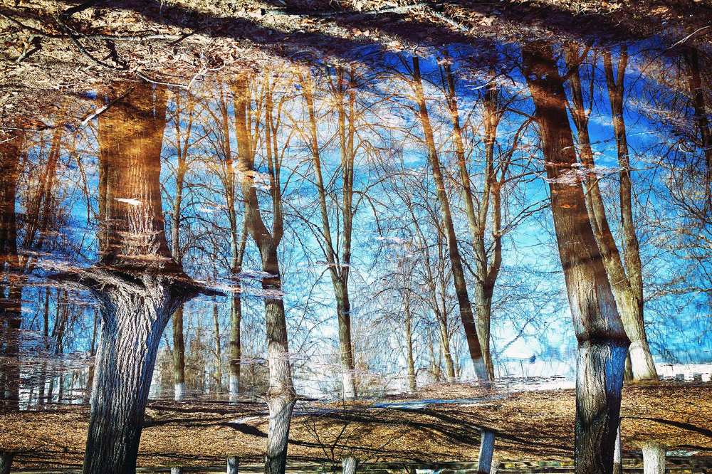 ансев . крап