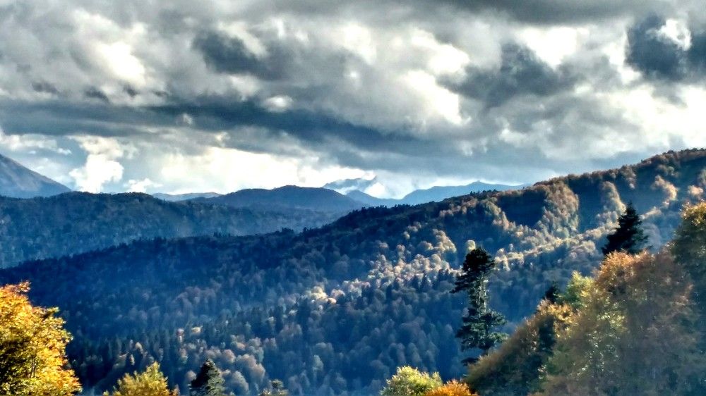 Photograph by Мишина Надежда