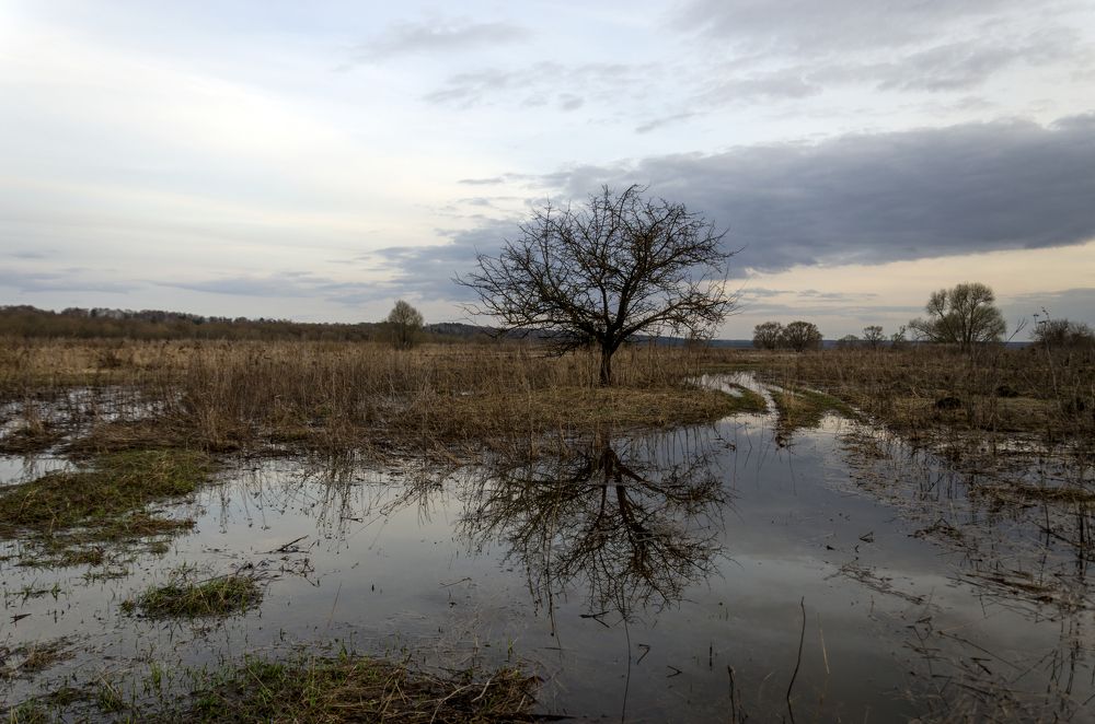 Photograph by Константин