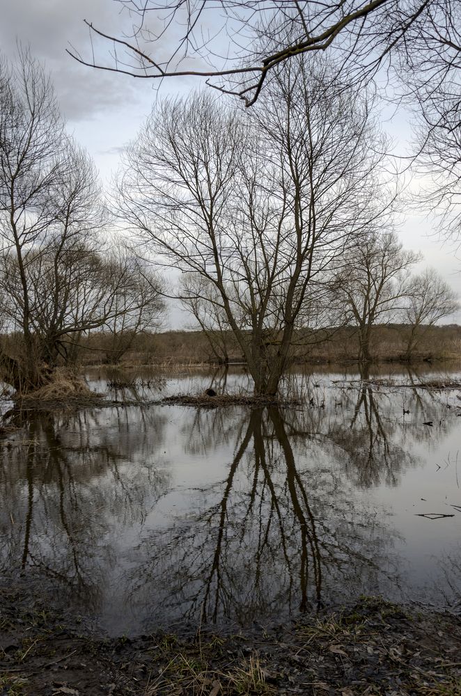 Photograph by Константин