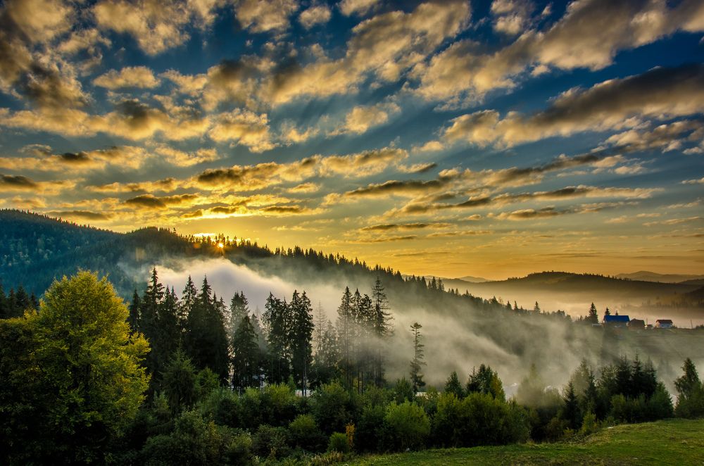 Photograph by Владислав Матвиенко