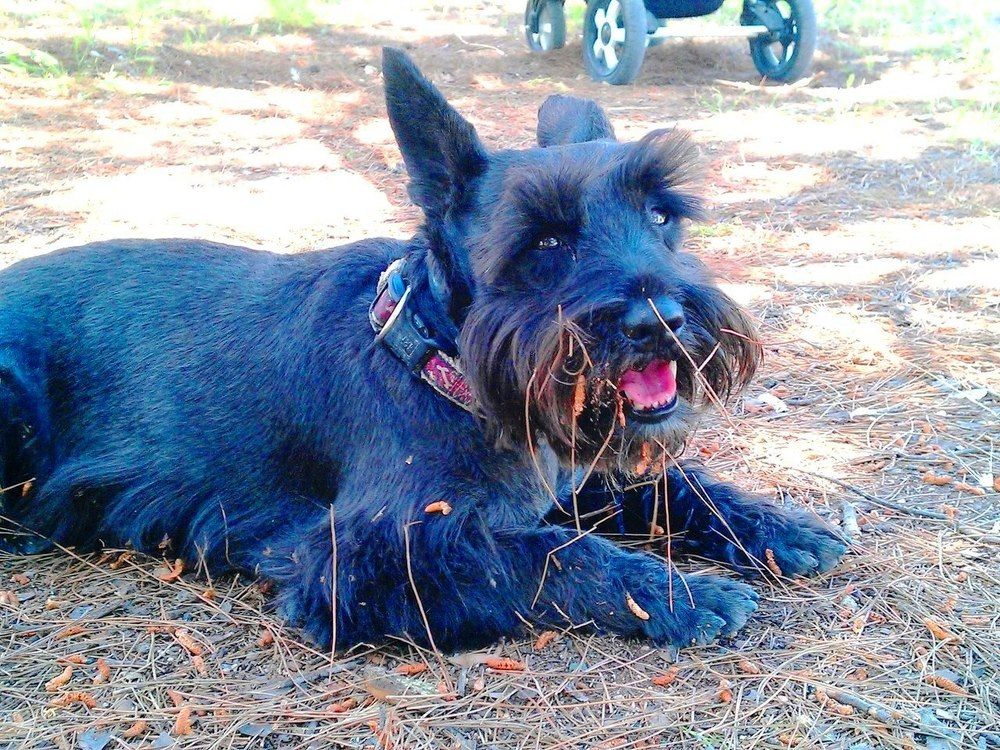 Служба у меня такая