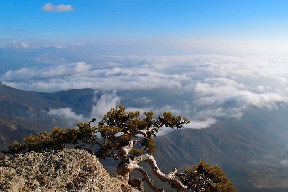 Облака над Киммерией