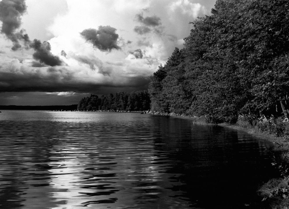 Близость грозы