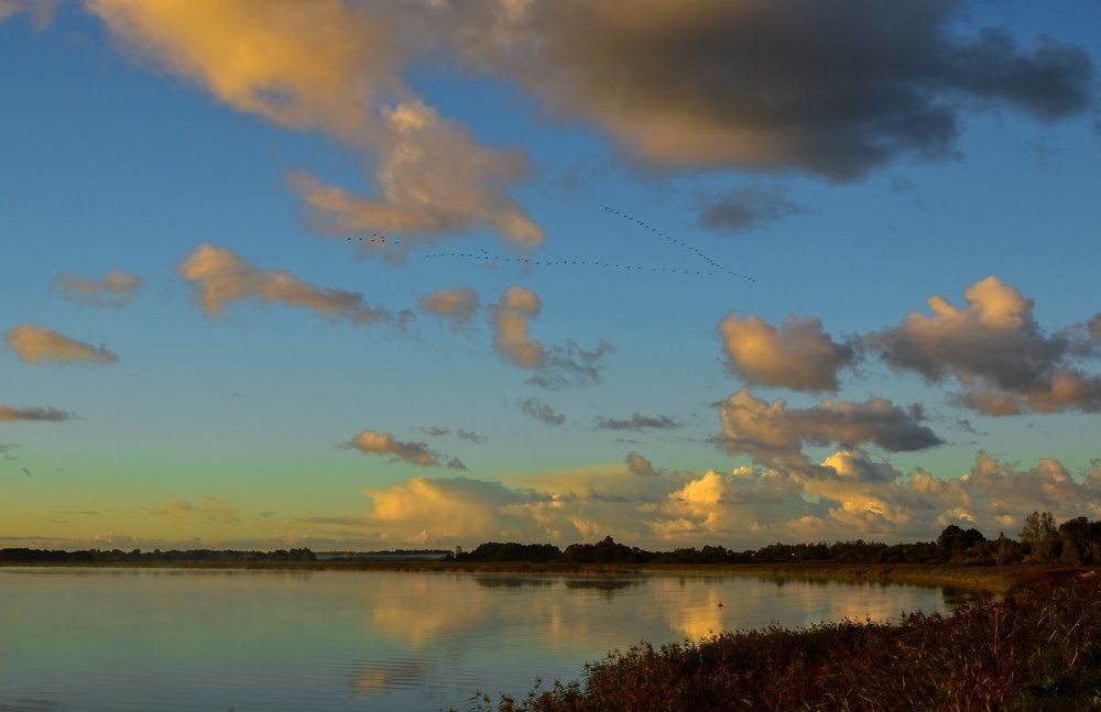 Photograph by Larisa Cekanaviča