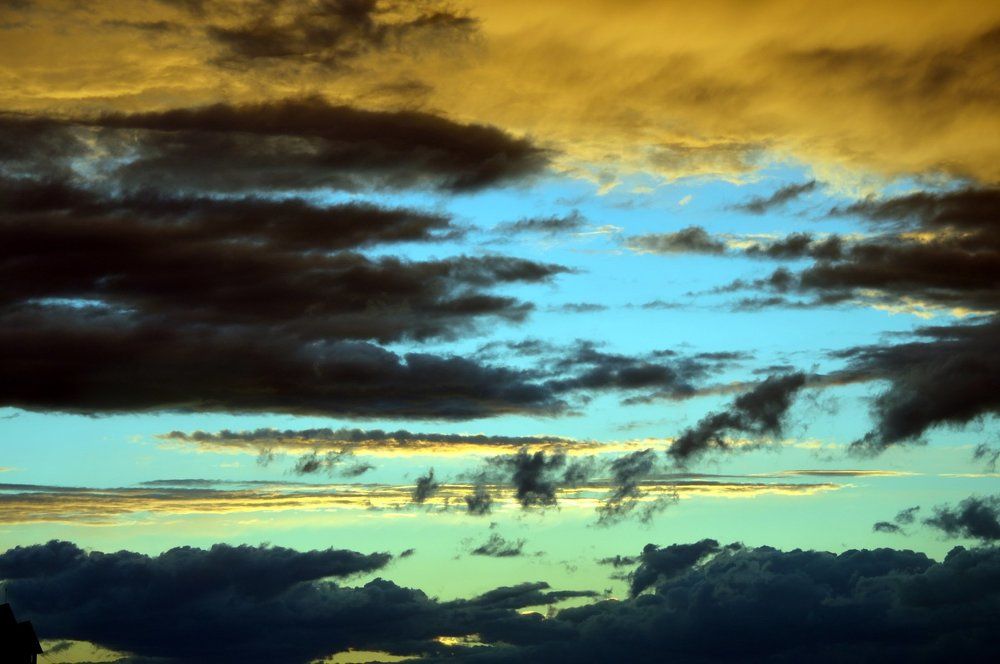 Вечернее нашествие