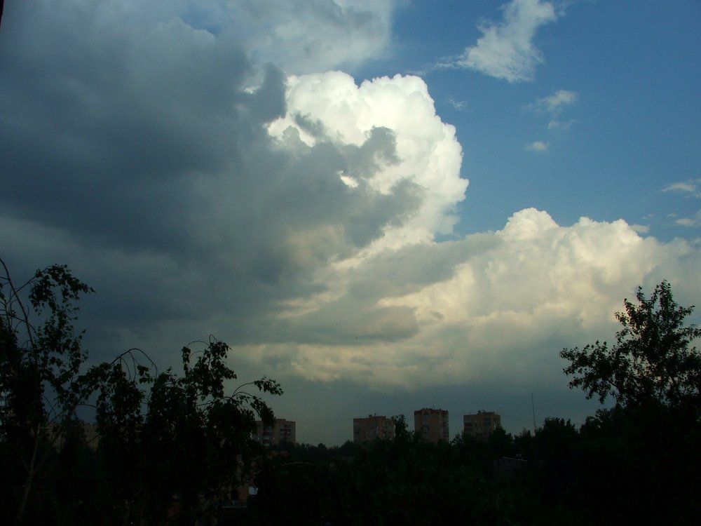 Маша и медведь