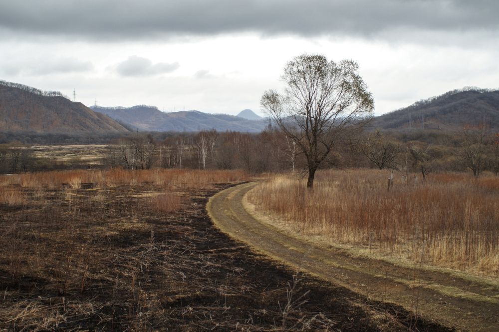 Дорога после пожара.