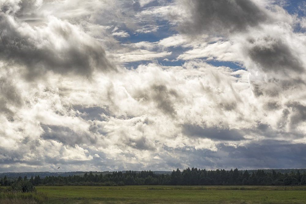 после дождя