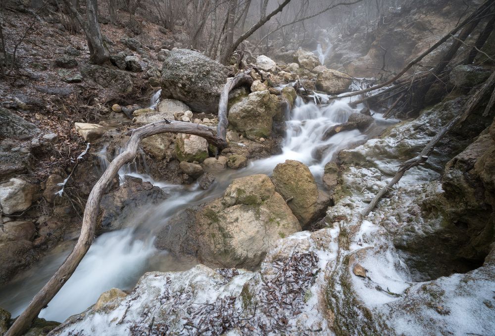 Photograph by Елена Ковригина