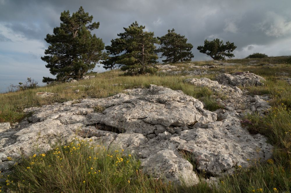 Photograph by Елена Ковригина