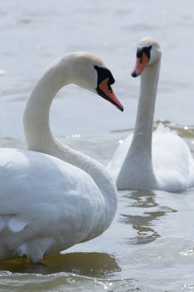 Photograph by Rodion Filimonov