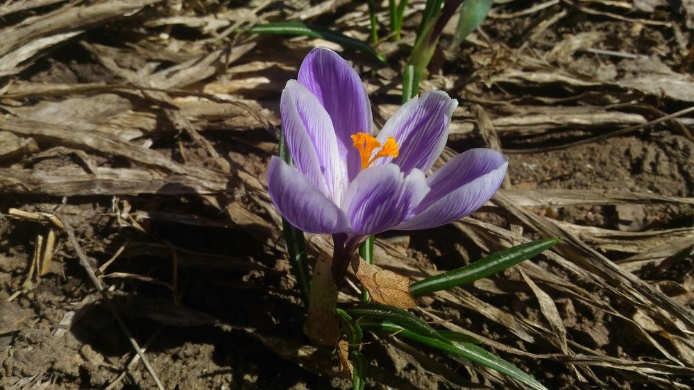 Photograph by Иван Суханкин