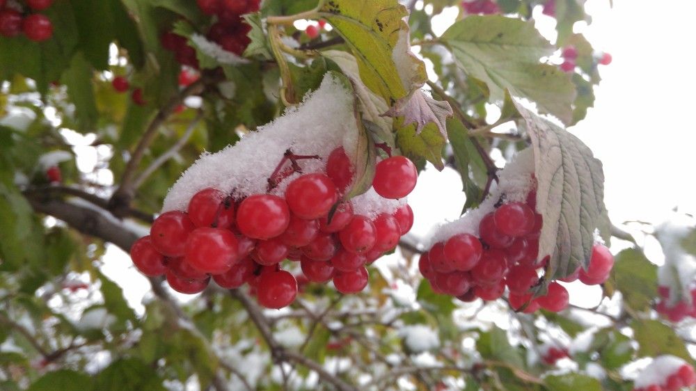 Photograph by Иван Суханкин