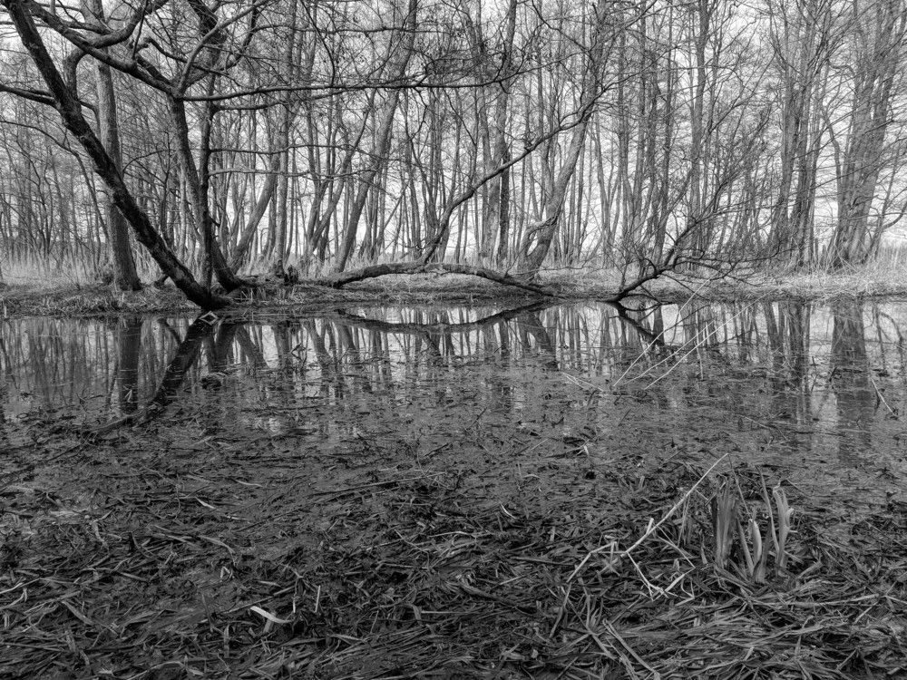 Silence