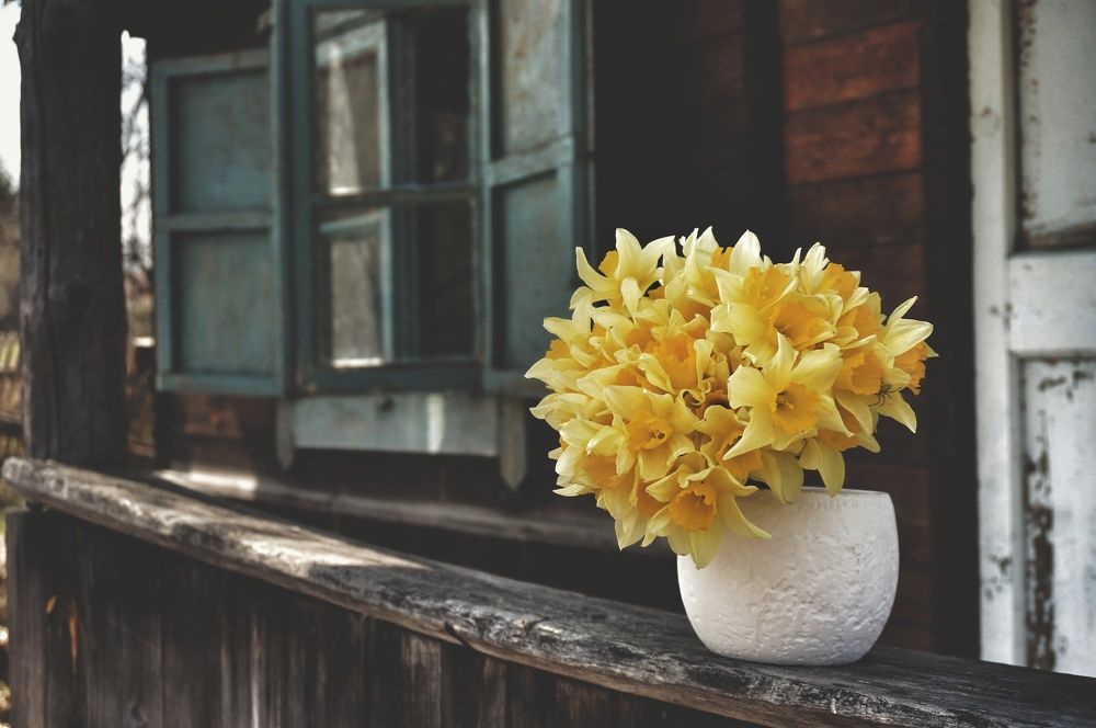 Photograph by Елена Дымова