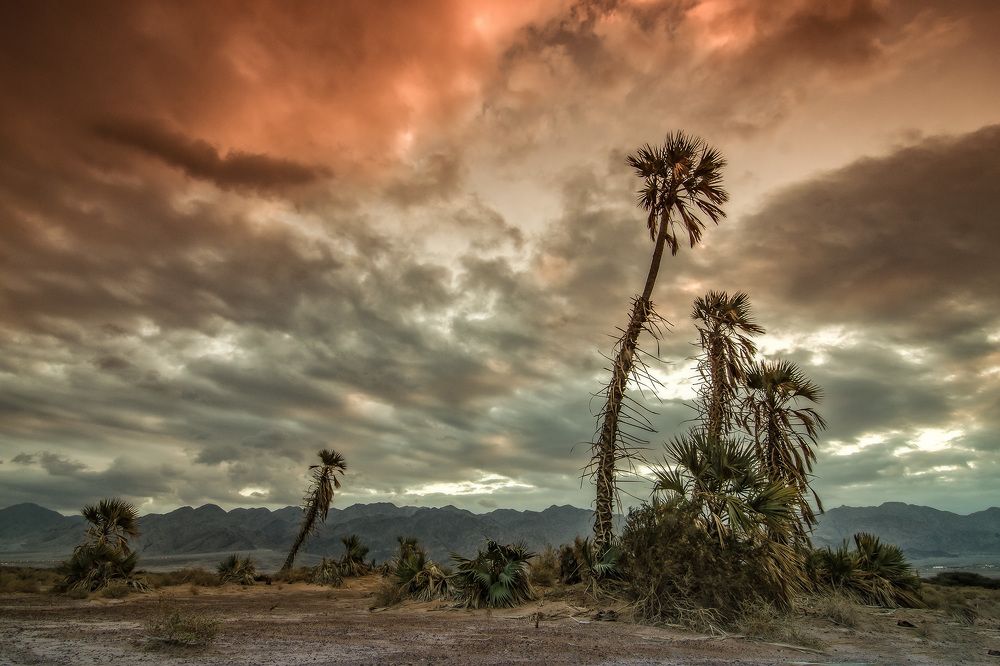 Рассвет в пустыне Арава