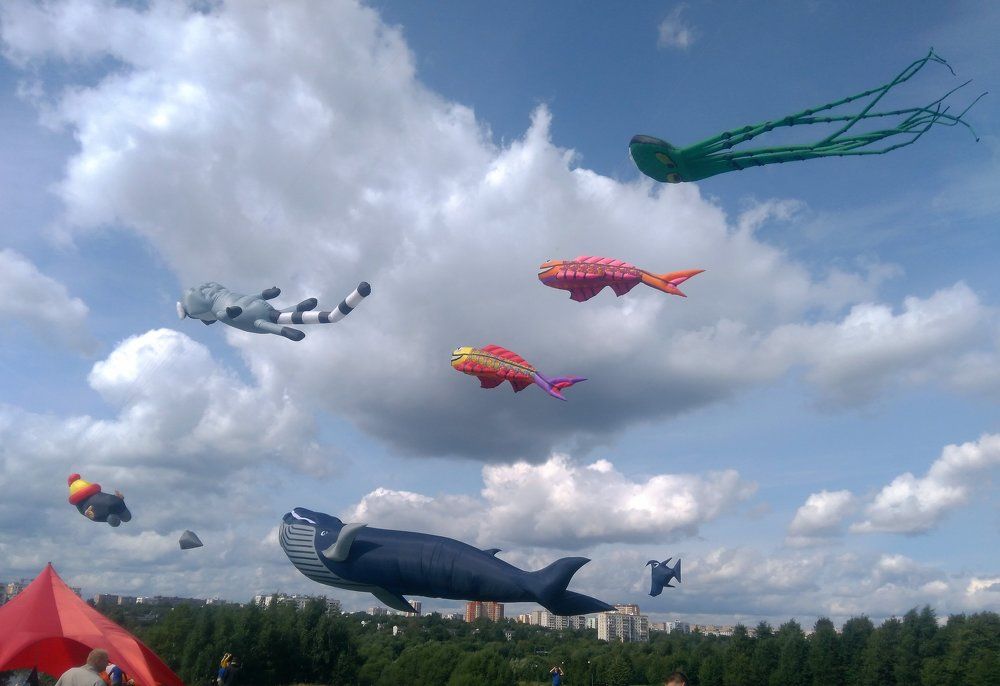 Фестиваль