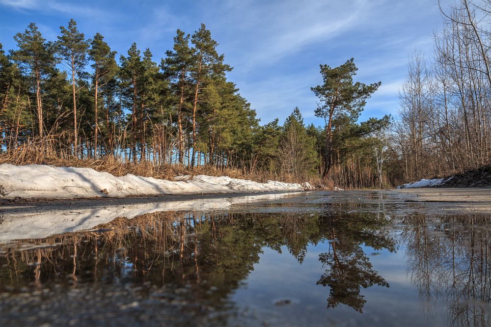 Весенние отражения