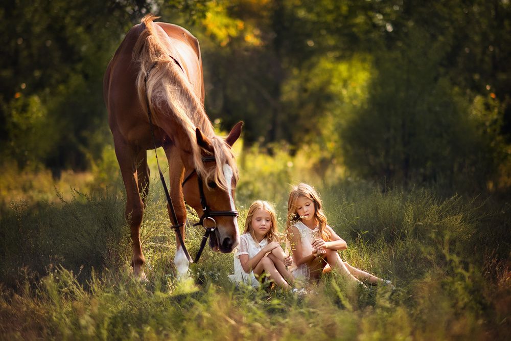 Лето в деревне