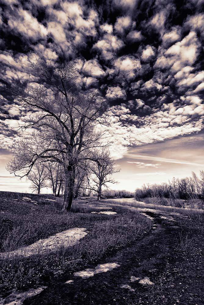 Фотография автора Игорь Баранов