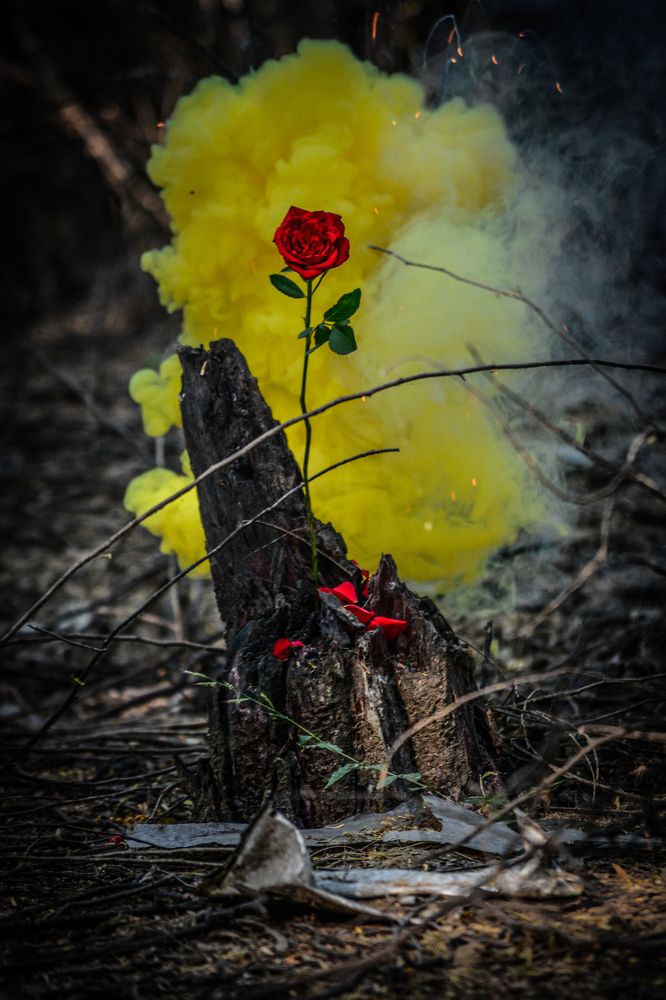 Photograph by Rushil pradhan