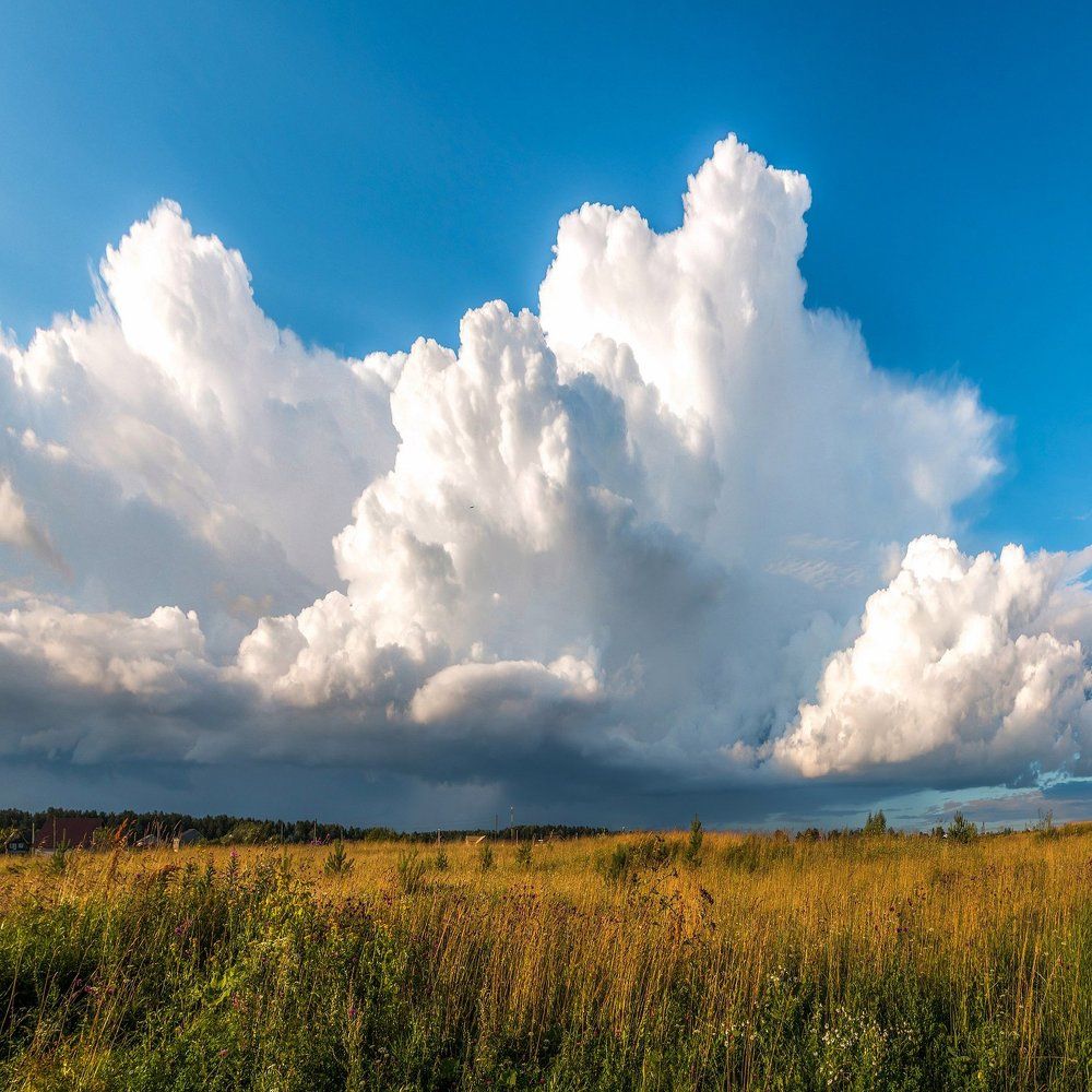 Перед грозой