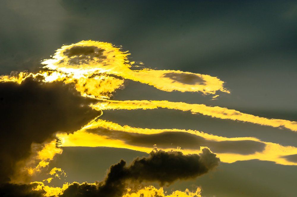 Буратино жив