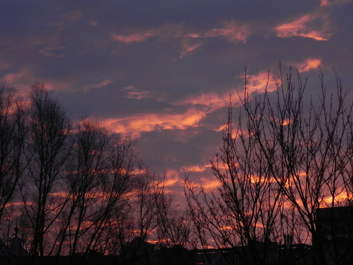 Earlier morning