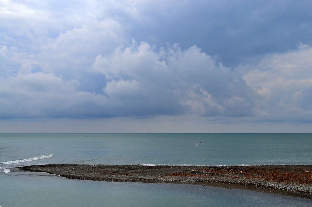 В нежных тонах