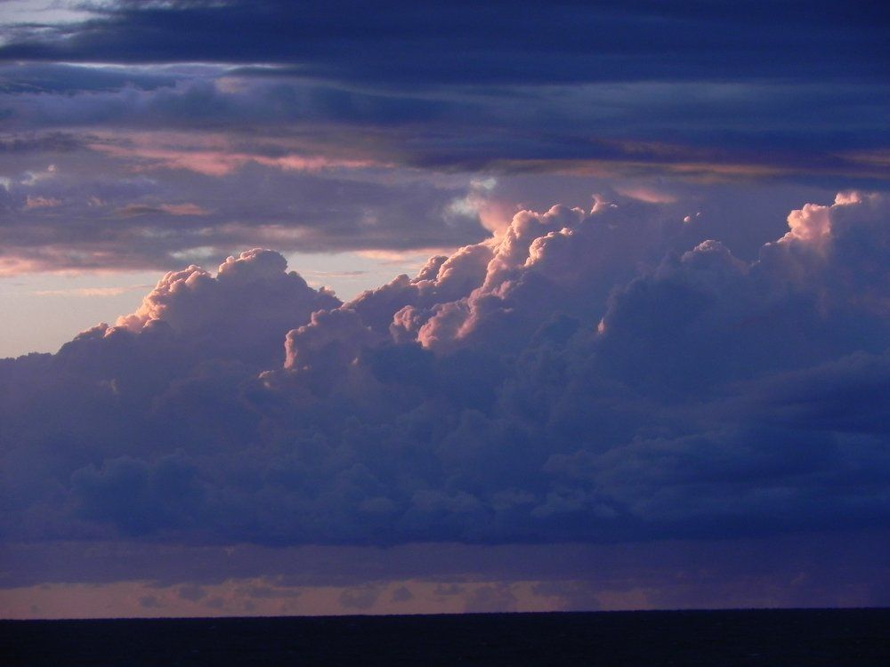 Photograph by Kate Jekcson