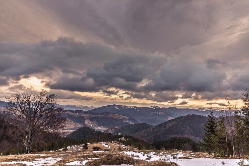 Спешат по небу облака.