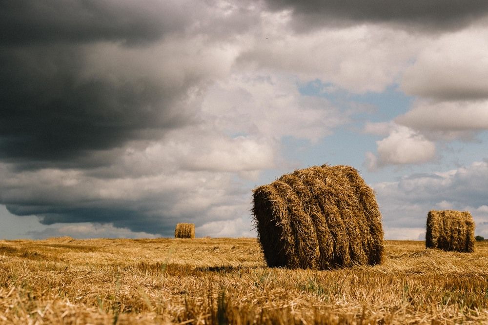 Photograph by Александр Путило