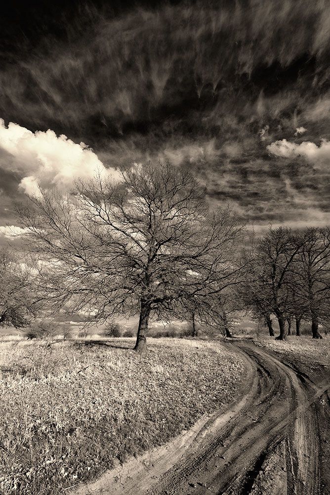 Фотография автора Игорь Баранов