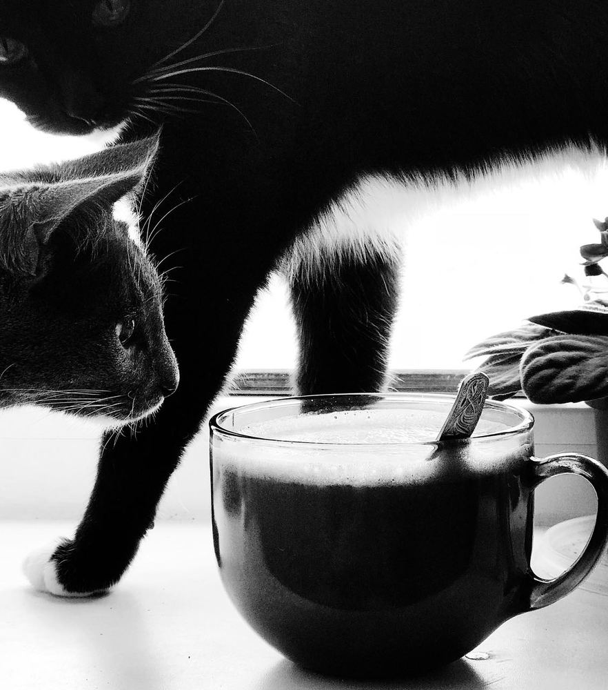 Photograph by Светлана