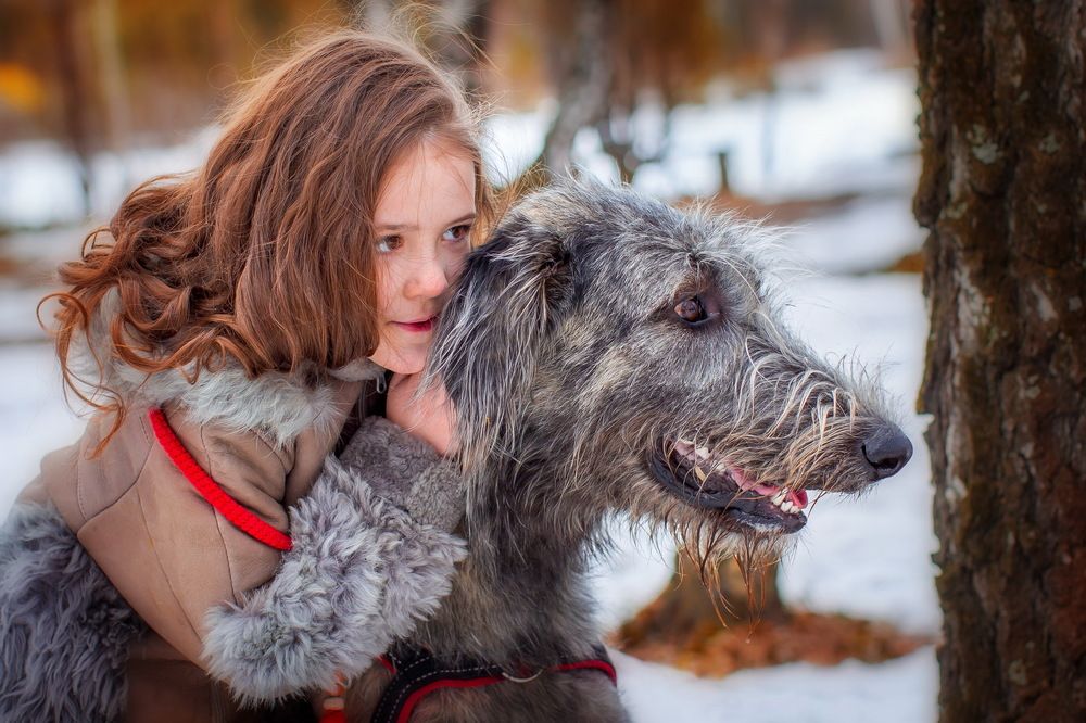 Мы одной крови ты и я