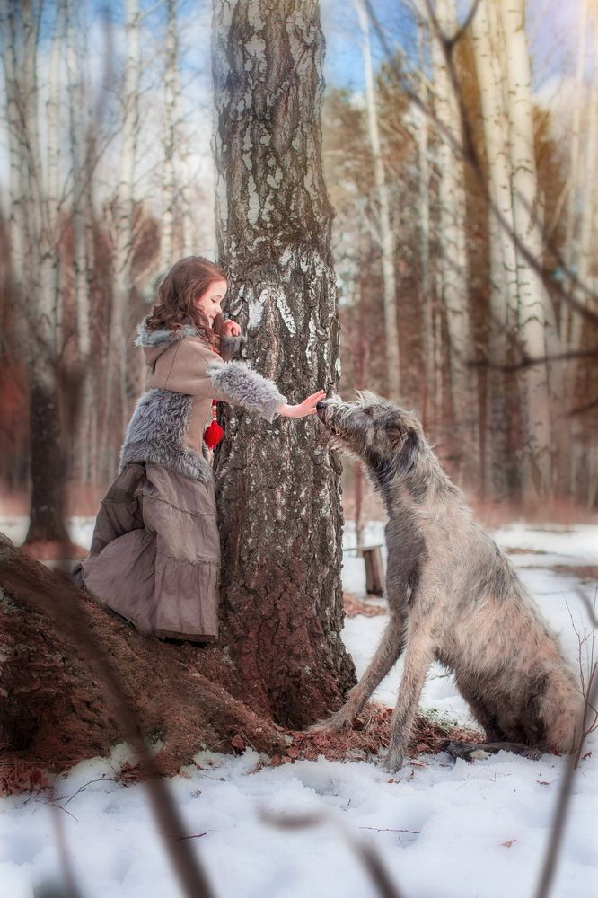 Встреча друзей