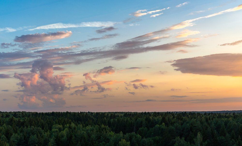 Троицкие горизонты