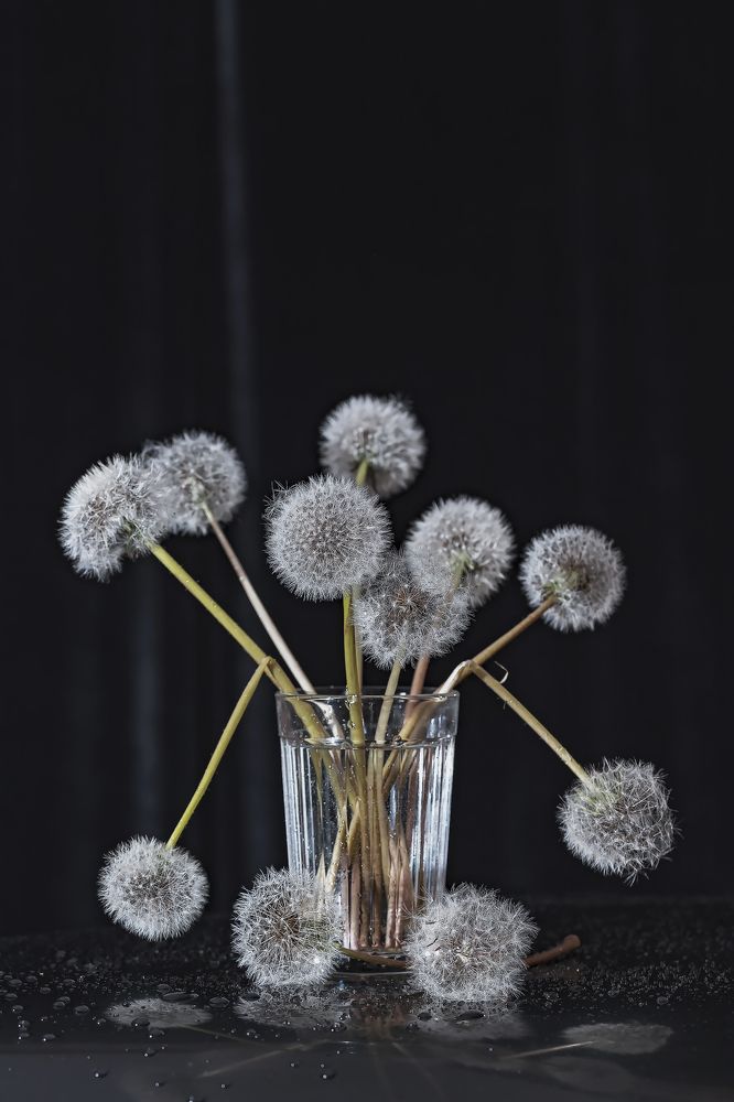 Быстротечность