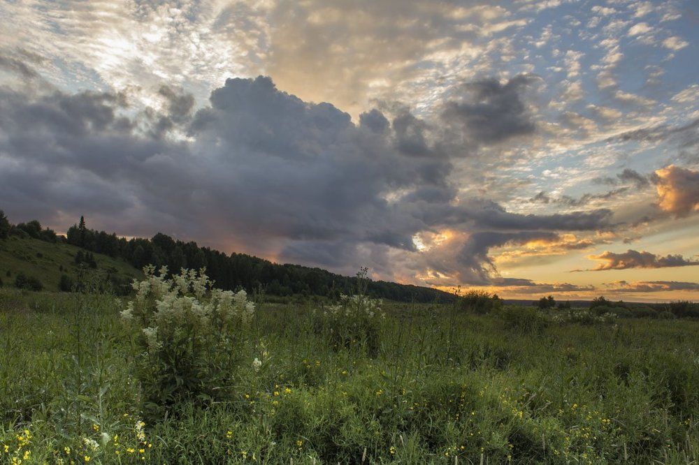 После грозы