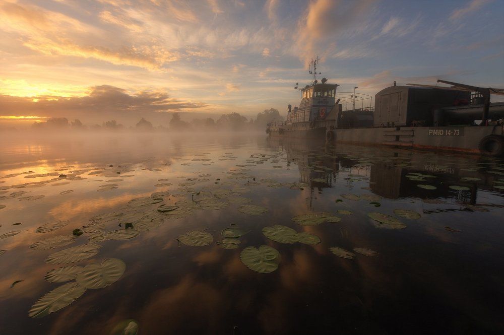 Доброе утро.